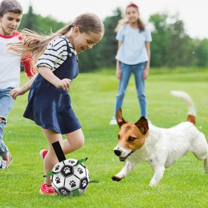 Juguete Pelota de Fútbol